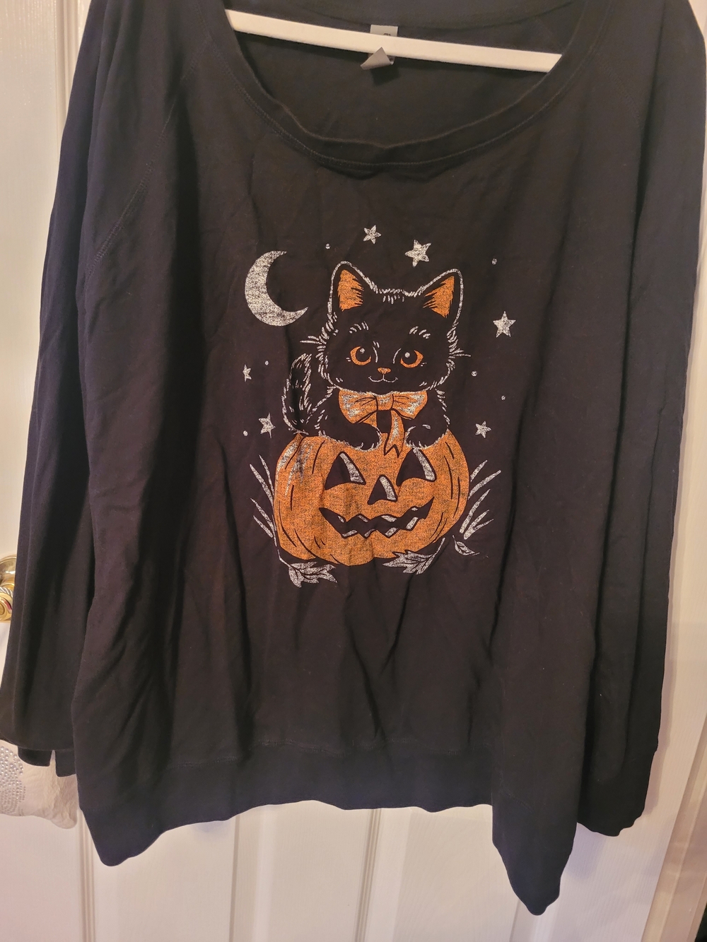 Black Cat Pumpkin Graphic Pet-Themed Sweatshirt